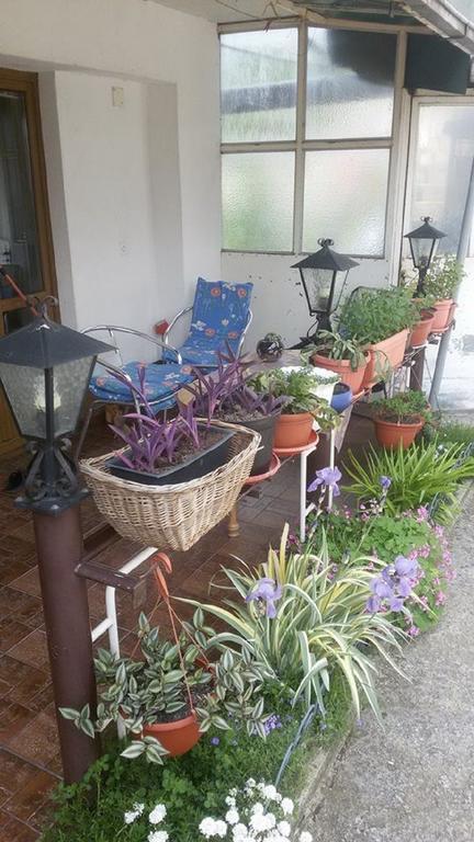 Apartments Aida Bihać Екстериор снимка