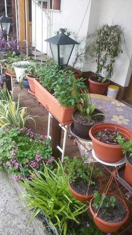 Apartments Aida Bihać Екстериор снимка